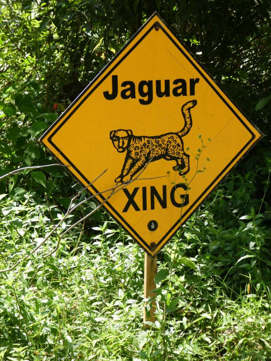 pas-de-jaguar-en-vue